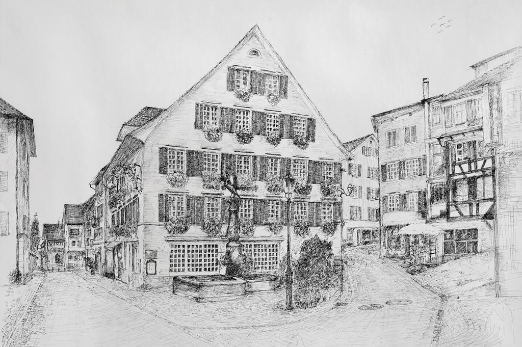 Romantik Hotel Schwan Horgen Exteriér fotografie