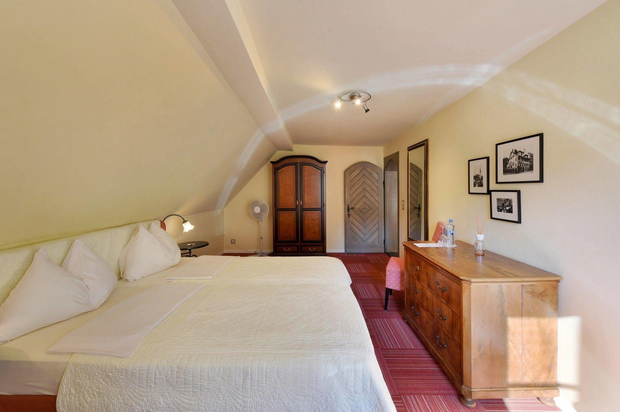 Romantik Hotel Schwan Horgen Exteriér fotografie