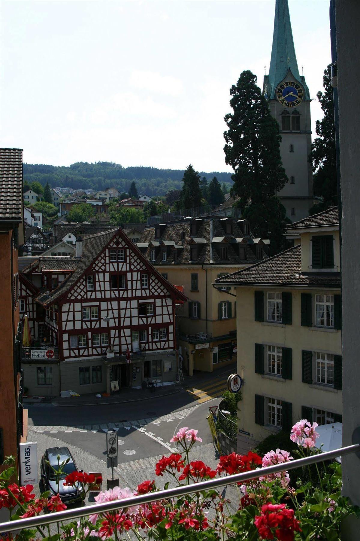 Romantik Hotel Schwan Horgen Exteriér fotografie